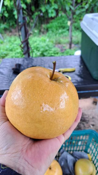 주윤발이님의 자유주제 · 자유게시판 작성글 사진