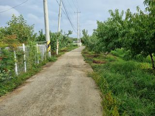 박성호(한복)님의 자유주제 · 자유게시판 작성글 사진