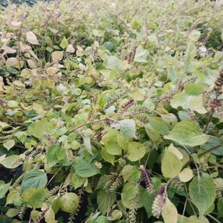 오화순님의 자유주제 · 자유게시판 작성글 사진