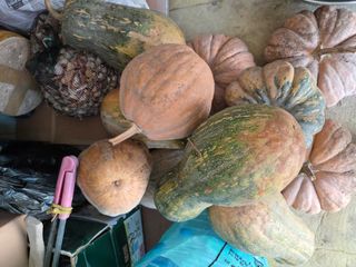 장안님의 자유주제 · 자유게시판 작성글 사진