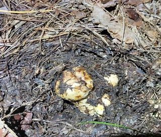 전재문님의 작성글 사진