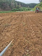 팜모닝 자유주제·칭찬해요 게시글 이미지