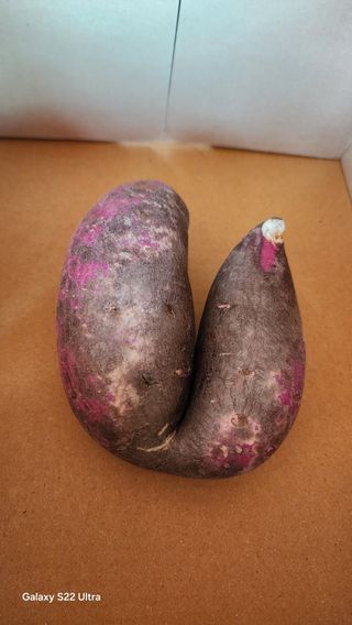 장영수님의 자유주제 · 자유게시판 작성글 사진