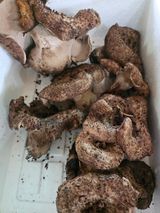 팜모닝 자유주제·자유게시판 게시글 이미지