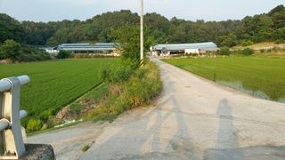 달콤한메론님의 자유주제 · 자유게시판 작성글 사진