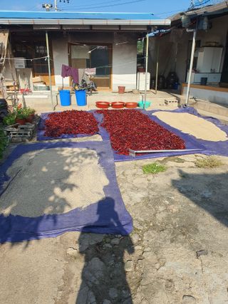 김영복님의 자유주제 · 자유게시판 작성글 사진