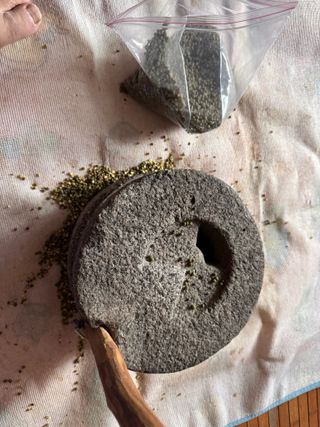 오작교농장님의 자유주제 · 자유게시판 작성글 사진