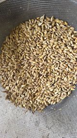 팜모닝 · 게시글 이미지