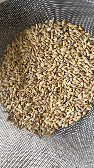 김관수회원님의 작성글 사진