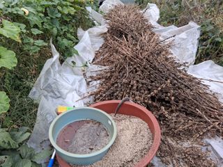 강원도 횡성군님의 자유주제 · 자유게시판 작성글 사진