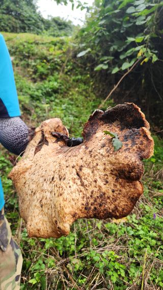 귀요미맘님의 자유주제 · 사진전 작성글 사진