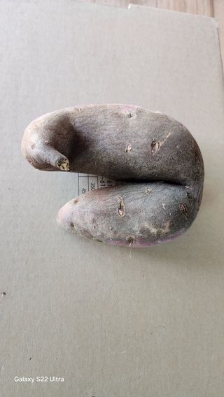 장영수님의 자유주제 · 자유게시판 작성글 사진