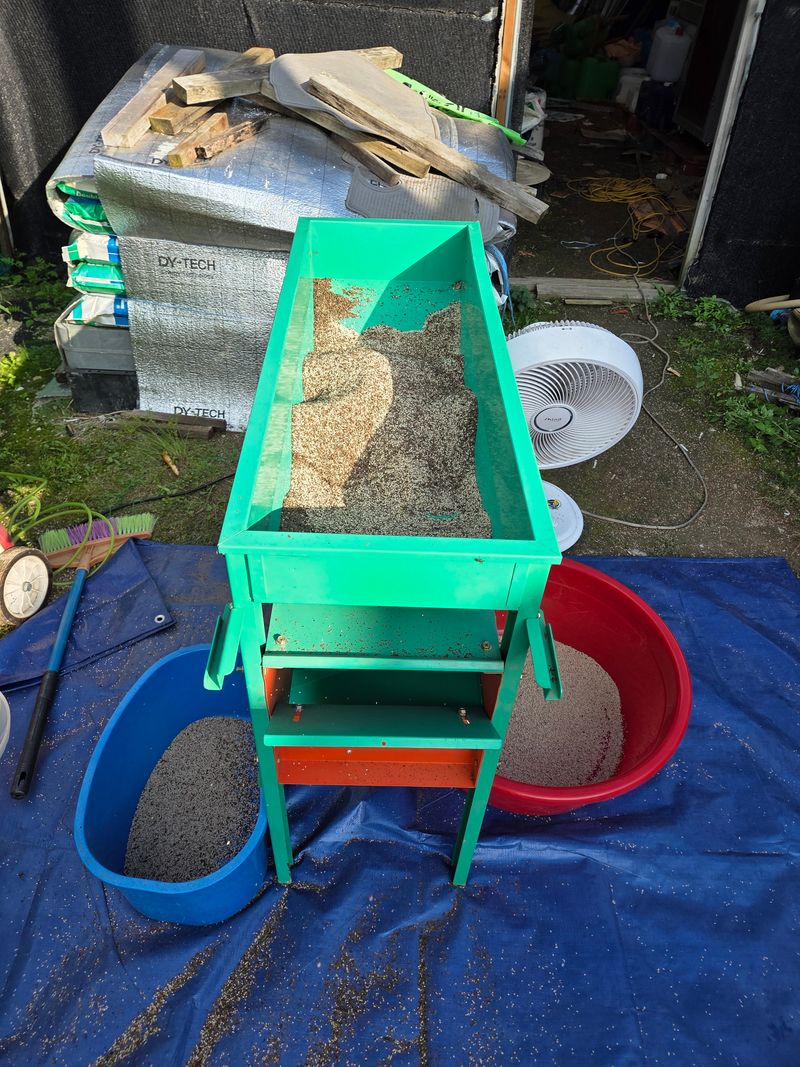 조순영님의 장터 판매 상품 [참깨6kg 한말] 첨부 사진