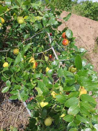 김영복님의 자유주제 · 자유게시판 작성글 사진