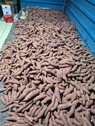 엘림농장님의 자유주제 · 칭찬해요 작성글 사진