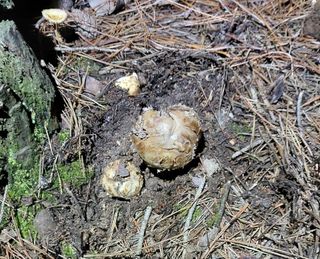 전재문님의 작성글 사진