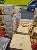 팜모닝 자유주제·자유게시판 게시글 이미지