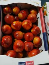 팜모닝 · 게시글 이미지