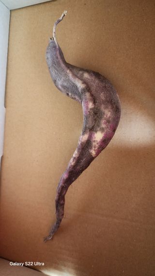 장영수님의 자유주제 · 자유게시판 작성글 사진