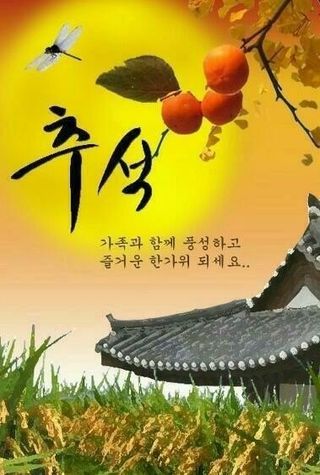 이시형님의 자유주제 · 자유게시판 작성글 사진