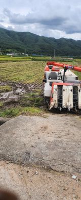 팜모닝 자유주제·자유게시판 게시글 이미지