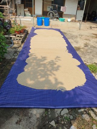 김영복님의 자유주제 · 자유게시판 작성글 사진