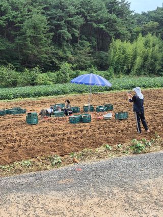 엘림농장님의 자유주제 · 칭찬해요 작성글 사진