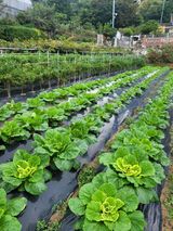 팜모닝 자유주제·사진전 게시글 이미지