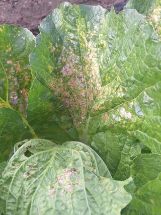 김충구내 집 예쁘게님의 자유주제 · 건의해요 작성글 사진