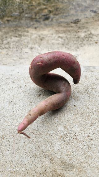 장영수님의 자유주제 · 자유게시판 작성글 사진