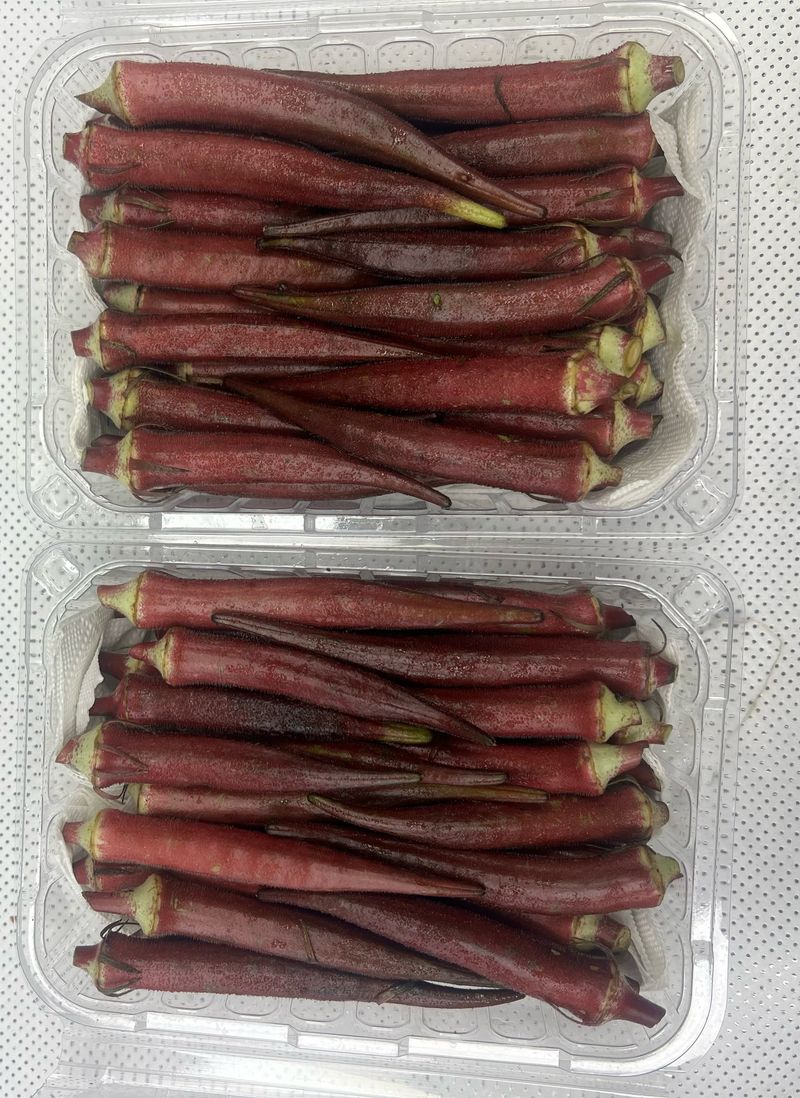 장터 상품 [붉은 적오크라 2팩] 썸네일