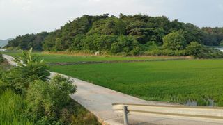 달콤한메론님의 자유주제 · 자유게시판 작성글 사진