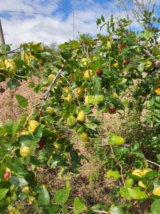 김영복님의 자유주제 · 자유게시판 작성글 사진