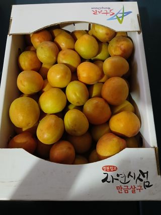 마늘 복숭아윤금자님의 작성글 사진