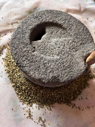 오작교농장님의 자유주제 · 자유게시판 작성글 사진