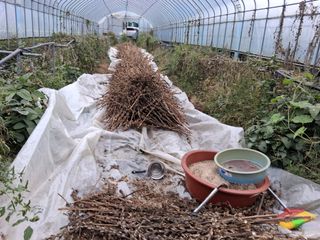 강원도 횡성군님의 자유주제 · 자유게시판 작성글 사진