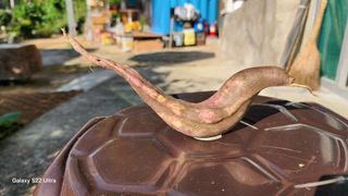 장영수님의 자유주제 · 자유게시판 작성글 사진