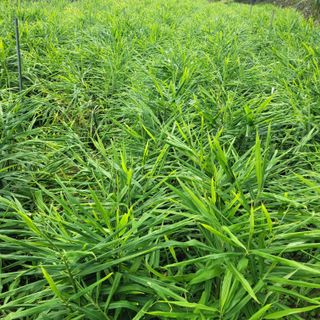 김선순(공룡자색마)님의 작성글 사진