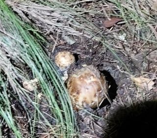 전재문님의 작성글 사진