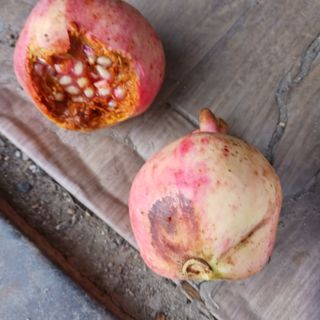 오화순님의 자유주제 · 자유게시판 작성글 사진