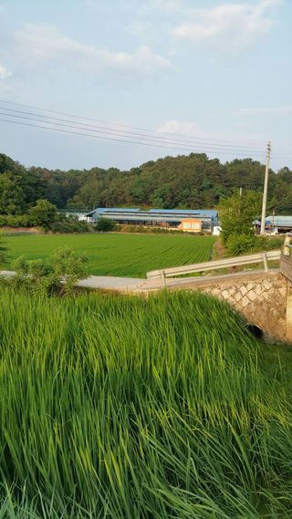 달콤한메론님의 자유주제 · 자유게시판 작성글 사진