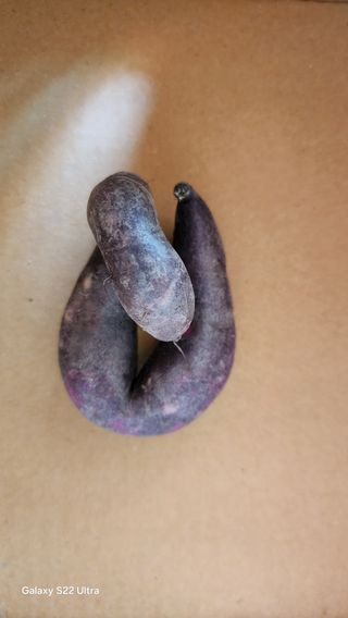 장영수님의 자유주제 · 자유게시판 작성글 사진