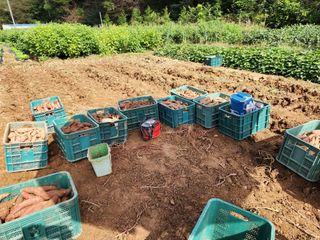 엘림농장님의 자유주제 · 칭찬해요 작성글 사진