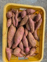 팜모닝 자유주제·자유게시판 게시글 이미지