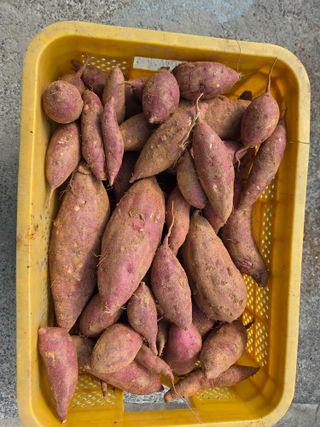 장안님의 자유주제 · 자유게시판 작성글 사진