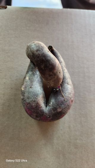 장영수님의 자유주제 · 자유게시판 작성글 사진