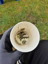 팜모닝 자유주제·자유게시판 게시글 이미지