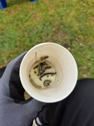 찬균park님의 자유주제 · 자유게시판 작성글 사진