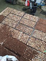 팜모닝 자유주제·자유게시판 게시글 이미지