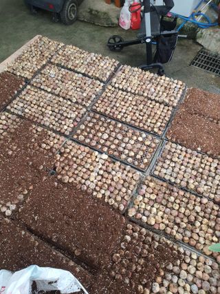 옥천서화농님의 자유주제 · 자유게시판 작성글 사진